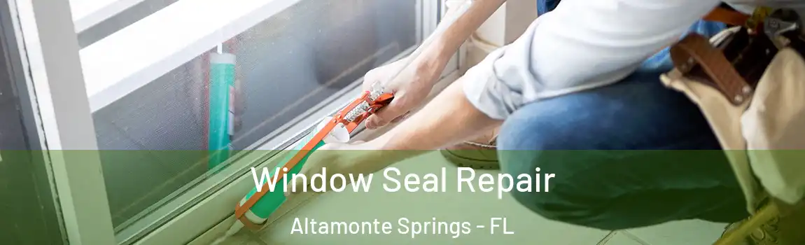 Window Seal Repair Altamonte Springs - FL